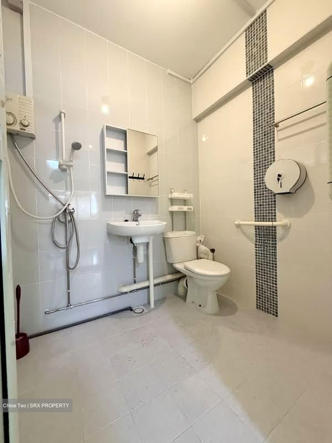 Blk 112 Mcnair Spring (Kallang/Whampoa), HDB 5 Rooms #563940511